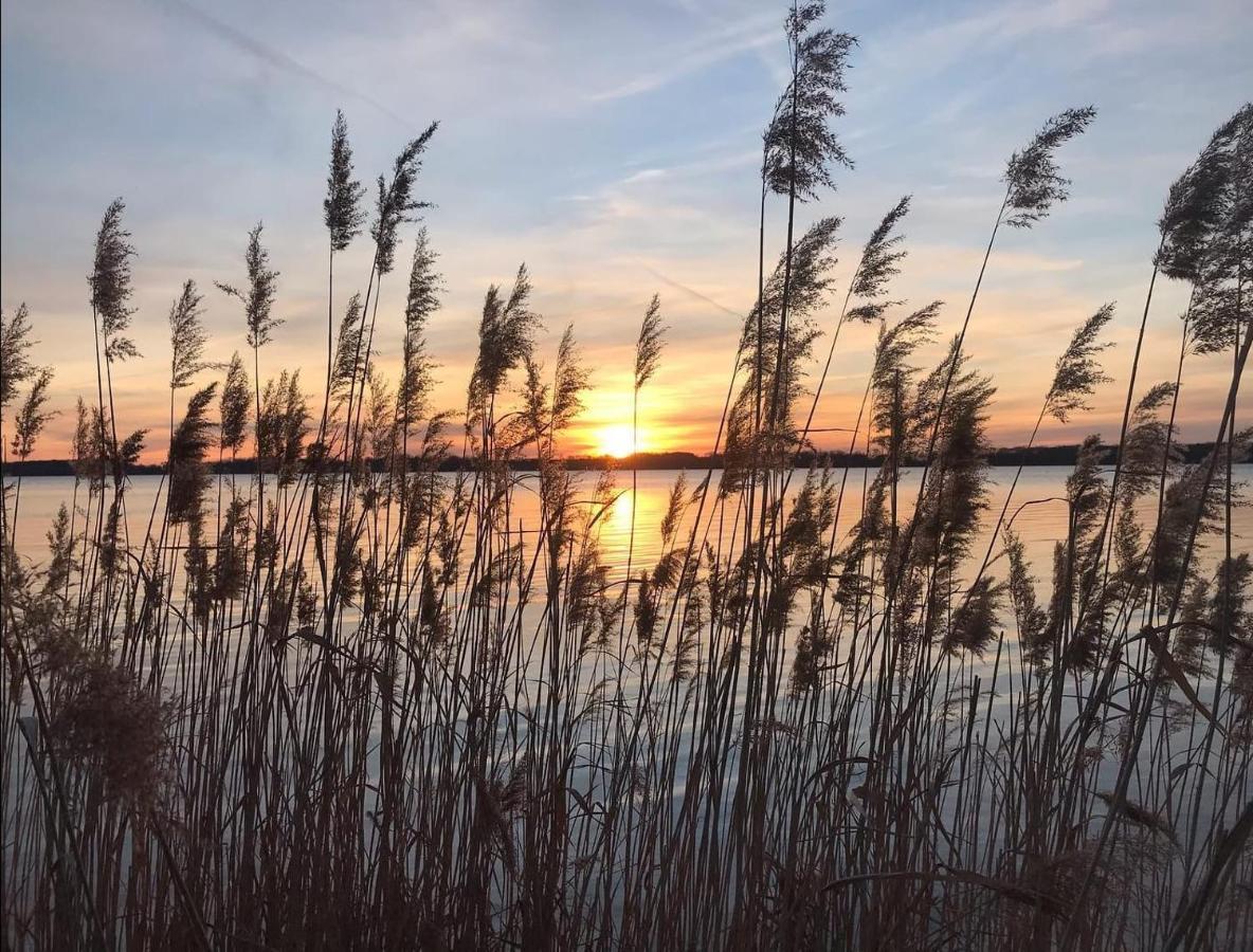 Pool & Lake Holiday Home Markkleeberg Esterno foto