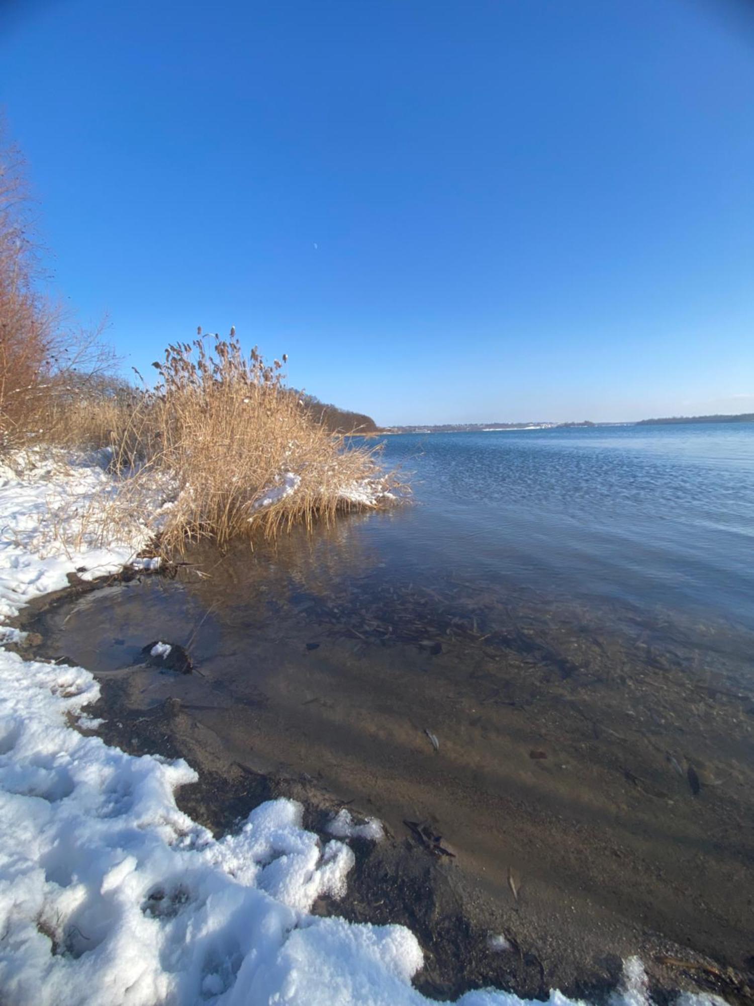 Pool & Lake Holiday Home Markkleeberg Esterno foto